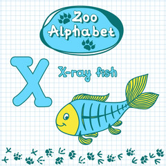 Wall Mural - Colorful children's alphabet with animals, X-ray fish