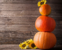 Pumpkins And Sunflowers On Wooden Background