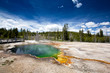 © berzina - USA - Yellowstone NP