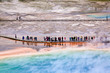 © berzina - USA - Yellowstone NP, prismatic pool