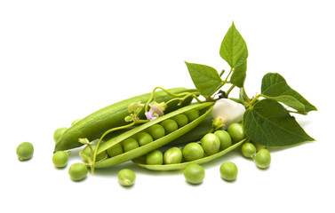 Canvas Print - Fresh Garden Peas