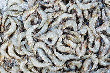 Many Raw Shrimp In Market Background