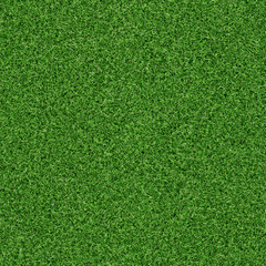 Wall Mural - seamless grass texture