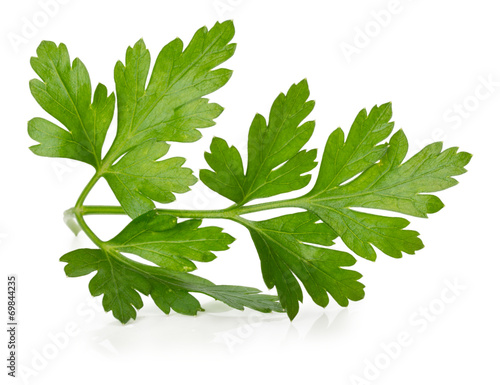 Fotografía parsley leaves isolated on the white background