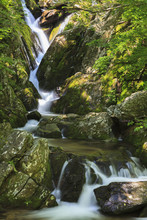 Water Falls In Shenandoah National Park