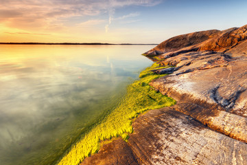 Beach rock with green alga and still sea water