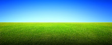 Field Of Green Grass And Sky