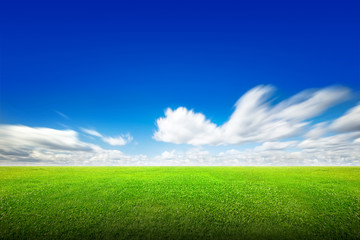 Wall Mural - Field of green grass and sky