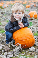 little toddler boy on pumpkin patch field