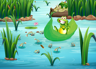 Wall Mural - A playful frog and a turtle at the pond