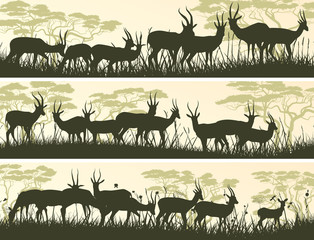 Wall Mural - Horizontal banners of wild antelope in African savanna.
