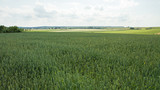 Fototapeta Krajobraz - fields of green