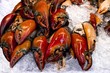 Fresh raw Crab Claws lay on ice in seafood supermarket.