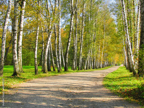 Naklejka samoprzylepna Jesień preshpect, yasnaya polyana, tula, rosja