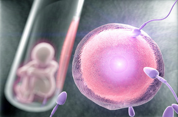 Fertilization, human cloning