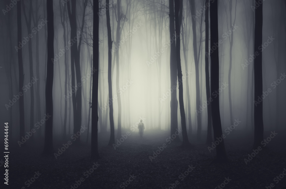 spooky forest scene with ghost on a path - obrazy, fototapety, plakaty 