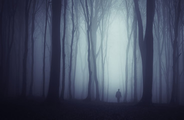 Wall Mural - spooky dark forest with mysterious man walking on a path