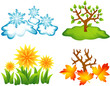 seasons, winter, spring, summer, autumn