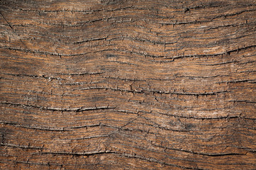 wooden texture