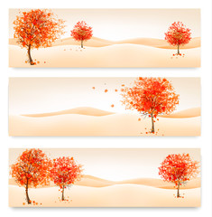 Aufkleber - Three autumn abstract banners with colorful leaves and trees. Ve