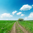 © Mykola Mazuryk - dirty road in green fields and blue sky with clouds