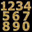 Golden metallic shiny numbers