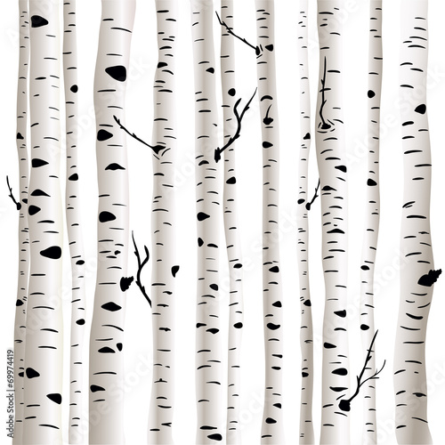 Obraz w ramie Birches in vector