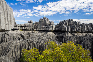 Wall Mural - Tsingy de Bemaraha