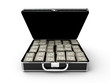 Money briefcase
