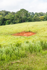 Wall Mural - Landscape of National Park