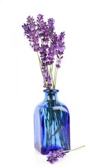 Fotomurales - Lavender