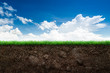 Soil and grass in blue sky
