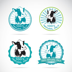 Set of vector an dairy cows label on white background