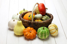 Colorful Pumpkin And Squash Collection