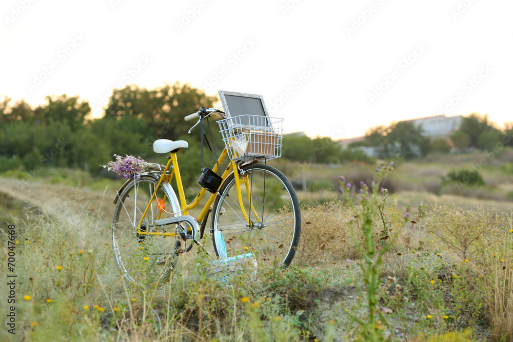 Bicycle in meadow during sunset