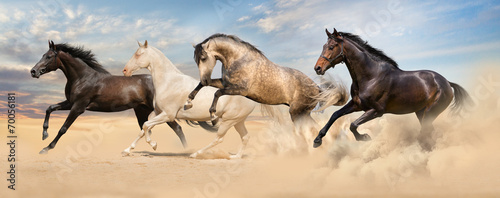 Tapeta ścienna Grupa koni biegnie galop