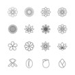 Flower Icons Vector