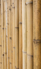  bamboo fence background texture pattern