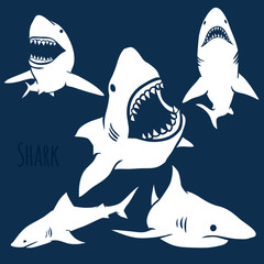 Wall Mural - Danger Shark silhouettes set.