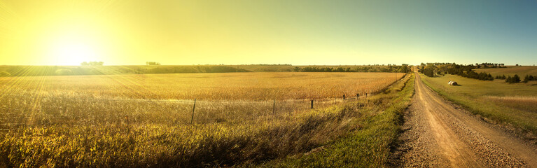 sunrise road