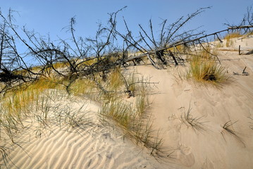 Fototapete - Morze, wydmy na plaży
