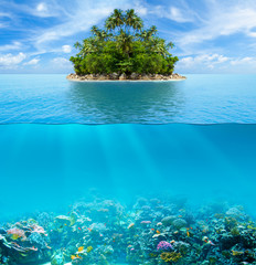 underwater coral reef seabed and water surface with tropical isl