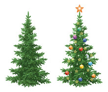 Christmas Spruce Fir Trees With Ornaments