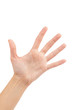 © oly5 - Open woman hand or number five