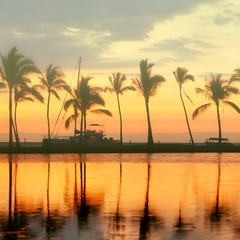 Wall Mural - Tropical paradise beach sunset with palm trees