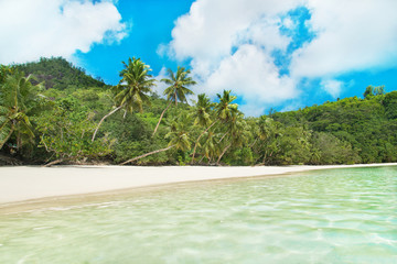 Poster - Tropical beach Baie Lazare at island Mahe, Seychelles