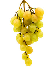 Wall Mural - bunch of grapes