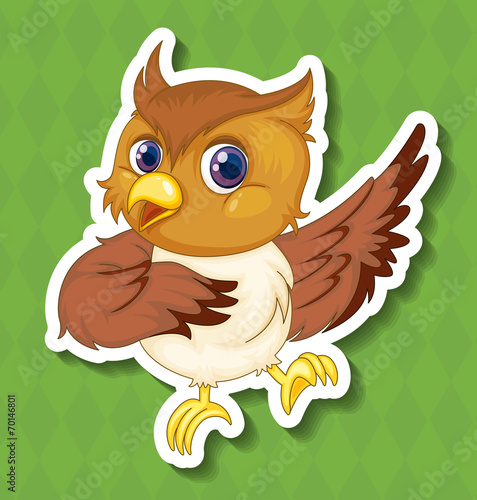 Board z aluminiowym obramowaniem Owlet