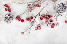 Christmas Branch With Berries