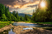 Forest River With Stones In Mountains At Sunset